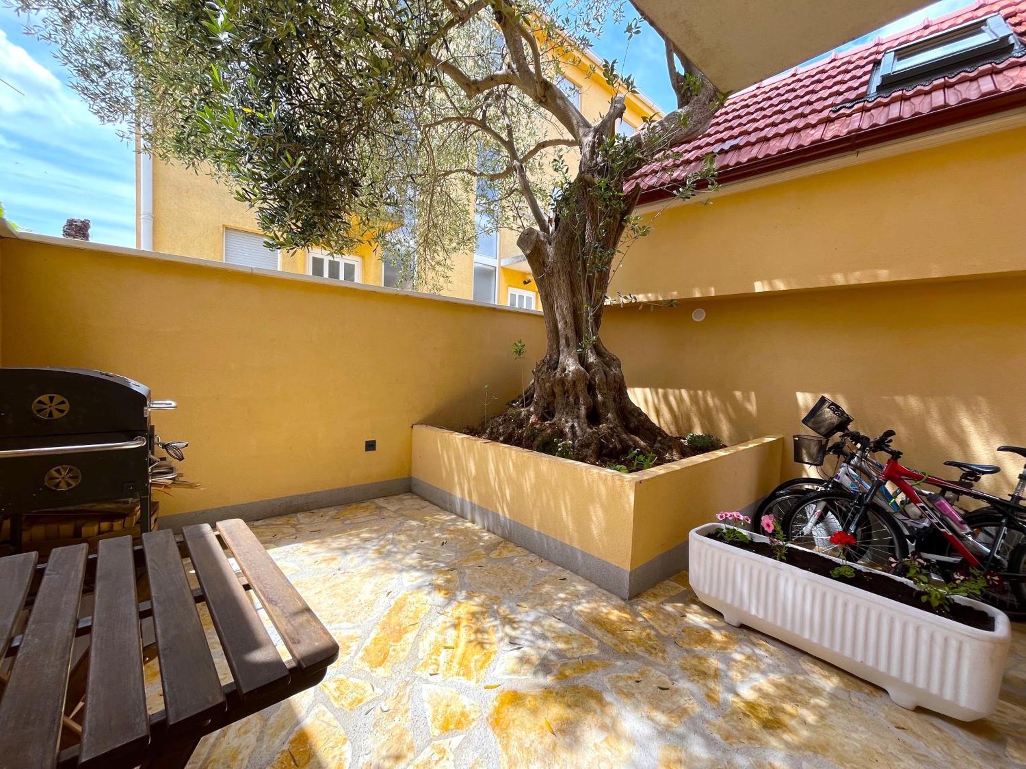 Ferienwohnung Olive Tree Stari Grad  Exterior foto